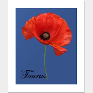 Taurus Horoscope Zodiac Poppy Art Hand Drawn Posters and Art